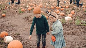 image of kids picking pumpkins